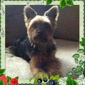 Meet your Posher, Ely